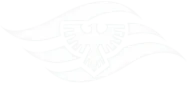 Eagle emblem with flowing lines
